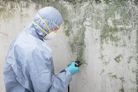 Best Attic Mold Removal  in Tarrytown, NY